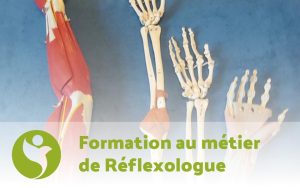 Formation au métier de Réflexologue